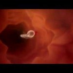 Spermium in Gebärmutter